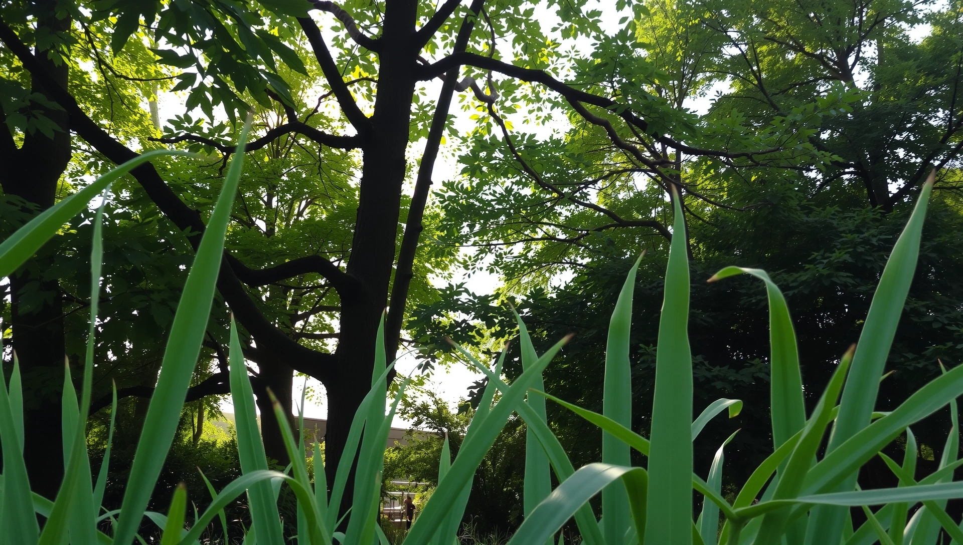 Peisaj natural luxuriant cu plante verzi și raze de soare filtrând prin frunze, simbolizând sănătate și vitalitate.